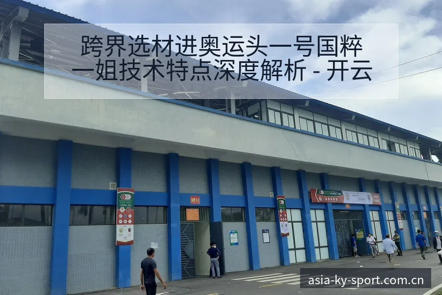 跨界选材进奥运头一号国粹一姐技术特点深度解析 - 开云